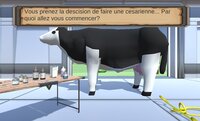 Jeu césarienne screenshot, image №3683148 - RAWG