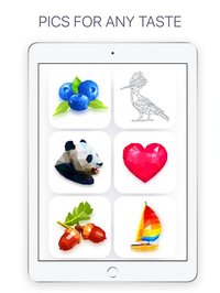 Poly: Coloring Puzzle Art Book screenshot, image №1804902 - RAWG