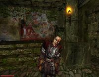 Gothic 2: Night of the Raven screenshot, image №371195 - RAWG