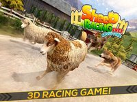 Sheep Racing Adventure in The Tiny Virtual Pet Town screenshot, image №871937 - RAWG