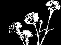 You are Alone in a Dark Room screenshot, image №2433050 - RAWG