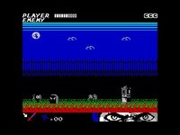 Ninjakul 2: The Last Ninja screenshot, image №1825186 - RAWG
