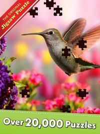 Jigsaw Puzzle Pro screenshot, image №2036699 - RAWG