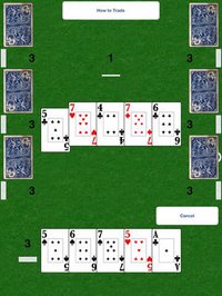 The Widow Lite screenshot, image №948828 - RAWG
