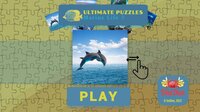 Ultimate Puzzles Marine Life 3 screenshot, image №3254591 - RAWG