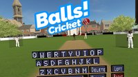Balls! Virtual Reality Cricket screenshot, image №155236 - RAWG