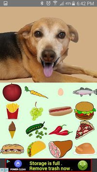 Feed the Cute Dog screenshot, image №1589683 - RAWG