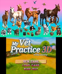 My Vet Practice 3D - In the Country screenshot, image №796437 - RAWG
