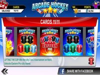 Arcade Hockey 18 screenshot, image №926429 - RAWG