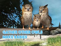 Forest Owl Simulator - Be a wild bird! screenshot, image №1625863 - RAWG