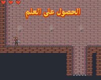 الحصول على العلم screenshot, image №2764949 - RAWG