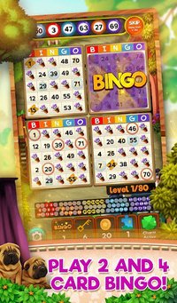 Bingo Pets Party: Dog Days screenshot, image №2084376 - RAWG