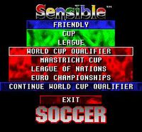 Sensible Soccer screenshot, image №739541 - RAWG