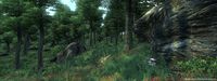 The Elder Scrolls IV: Oblivion Game of the Year Edition screenshot, image №138530 - RAWG