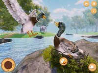 Virtual Duck Life Simulator screenshot, image №3610550 - RAWG