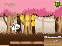 Bunny Run Lite - Endless Runner screenshot, image №969615 - RAWG