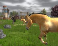 Wildlife Park 2 - Horses screenshot, image №151712 - RAWG