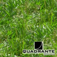 QS Materials Nature - Pack Grass vol.1 screenshot, image №1861078 - RAWG