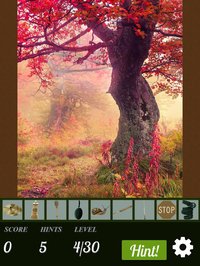 Hidden Object - Autumn Leaves screenshot, image №1682205 - RAWG