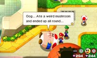 Mario & Luigi: Bowser's Inside Story + Bowser Jr's Journey screenshot, image №779953 - RAWG