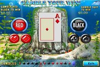 Dolphins Dice Slots screenshot, image №1382793 - RAWG