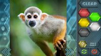 HexLogic - Zoo screenshot, image №1529533 - RAWG