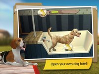 DogHotel: My Dog Boarding Kennel screenshot, image №870185 - RAWG