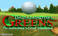 David Leadbetter's Greens screenshot, image №314170 - RAWG
