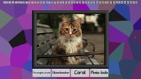 Test your knowledge: Cats screenshot, image №825142 - RAWG