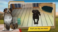 DogHotel - My boarding kennel screenshot, image №1522582 - RAWG