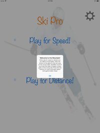Ski Pro screenshot, image №1796880 - RAWG