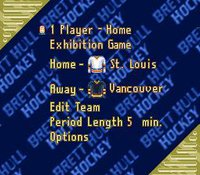 Brett Hull Hockey screenshot, image №761330 - RAWG
