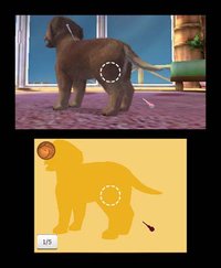 Paws & Claws Pampered Pets Resort 3D screenshot, image №244298 - RAWG