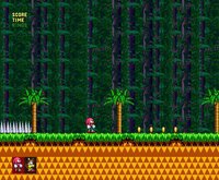 Knuckles In South Land screenshot, image №2264980 - RAWG