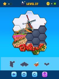 Hexa Jigsaw Puzzle screenshot, image №2207534 - RAWG