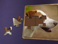 Super Jigsaws Dogs screenshot, image №1330785 - RAWG