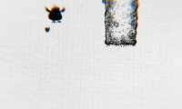 Toodle Dooji Mooche Jump screenshot, image №2456857 - RAWG