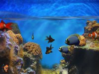 Fish Fingers! 3D Interactive Aquarium FREE screenshot, image №1684572 - RAWG