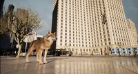 WOLF IN THE CITY screenshot, image №3990446 - RAWG