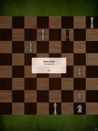 Mr Chess Pro screenshot, image №1747196 - RAWG