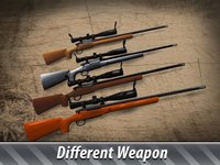 Winter Animal Hunter 3D Full screenshot, image №1786657 - RAWG