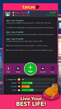 CatLife: BitLife Cats screenshot, image №3197702 - RAWG