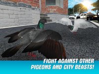 City Pigeon Simulator 3D screenshot, image №909769 - RAWG