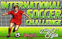 International Soccer Challenge screenshot, image №748792 - RAWG