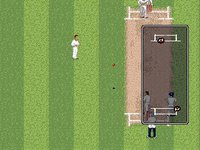 Brian Lara Cricket '96 screenshot, image №758602 - RAWG
