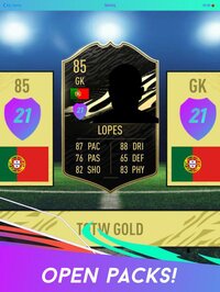 Pack Opener for FUT 21 screenshot, image №2709652 - RAWG