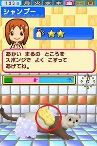 Pet Shop Monogatari 2 screenshot, image №3445375 - RAWG