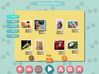 1001 Jigsaw. Cute Cats screenshot, image №3285615 - RAWG