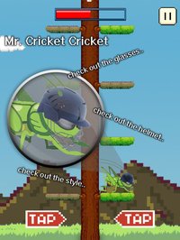 Cricket Jump screenshot, image №1796493 - RAWG