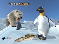 Arctic Penguin Simulator screenshot, image №2330175 - RAWG